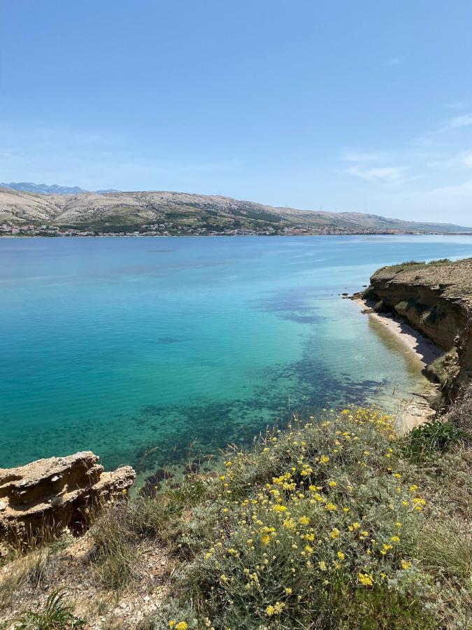 Apartmani Pozega باغ المظهر الخارجي الصورة